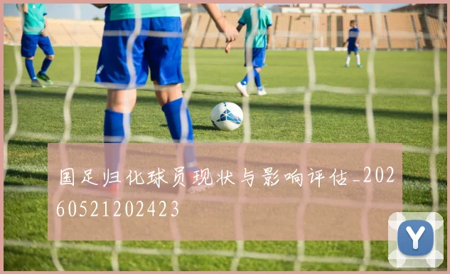 国足归化球员现状与影响评估_20260521202423